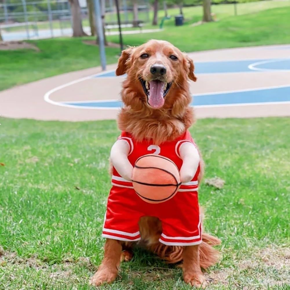 Hoops Hound Basketball Costume