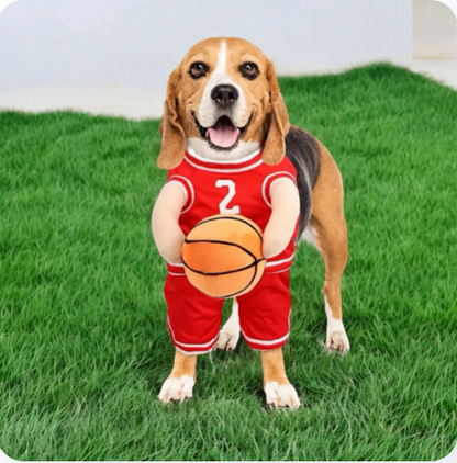 Hoops Hound Basketball Costume